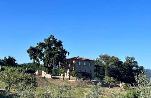 Montalcino Villa | Wonderful New Villa in Maremma near Montalcino