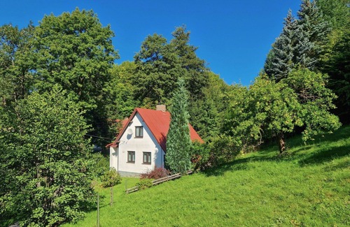 Zelezny Brod Villa | Wonderful private villa for 5 people with TV, terrace and pets allowed