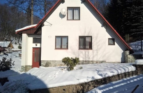 Zelezny Brod Villa | Wonderful private villa for 5 people with TV, terrace and pets allowed