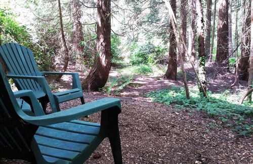 Bridle Trails House | Woodland retreat minutes from Microsoft