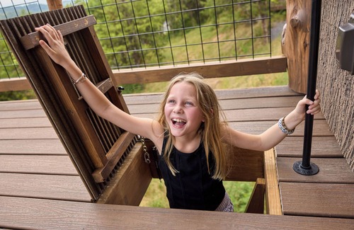 Sevierville Cabin | 🌱World's First Interactive Treehouse Resort! Tree-mendous Fun! 🌳