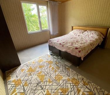 Borcka Villa | Yıldırımlar