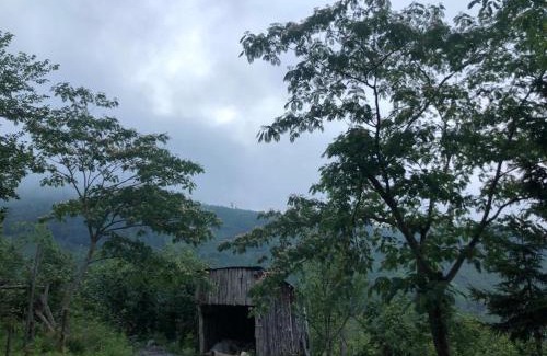 Borcka Villa | Yıldırımlar