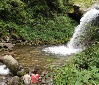 Banjar House | Yash wooden home stay tirthan valley