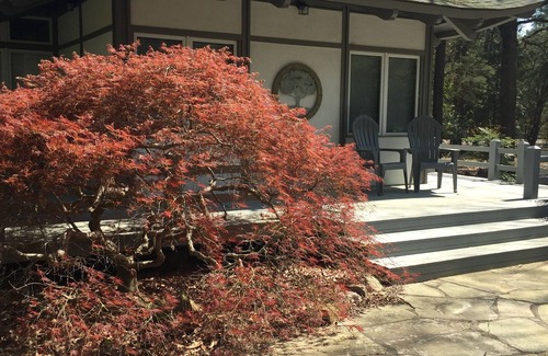 Old Town Cottage | Yes it is the real historic Village of Pinehurst nclose, clean and comfortable