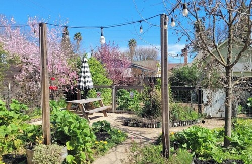 Davis House | Yolo Bungalow Cozy Craftsman in Downtown Davis 🌿 Historic charm meets modern comfort! Just steps from shops, cafés, restaurants, and the Farmers Market, this updated 100-year-old bungalow is perfect for families, academics, and pet lovers alik