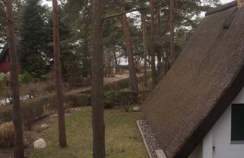 Quilitz House | Your family paradise on Usedom am Achterwasser idyllic in the nature reserve