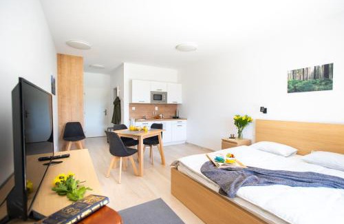 Zuberec Apartment | Zaži Apartmán Vila Zuberec