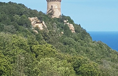 Eccica-Suarella Villa | Zanzimare Casa Villa Paolu T5