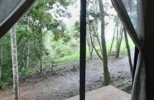 Darien Cabin | Zen Oasis del Bosque, A place to reconnect!