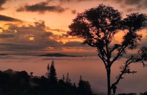 Darien House | Zen Oasis del Bosque. Recharge!