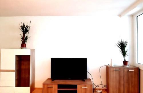 Zollstock Apartment | Zentral und doch Natur