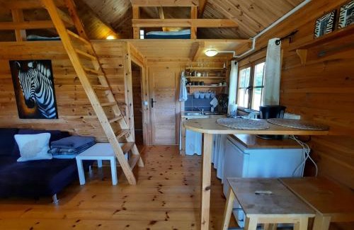 Dziemiany House | Zielony domek na Kaszubach