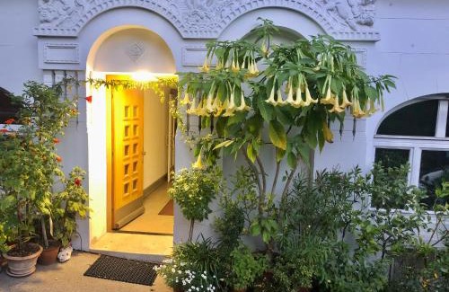 Vogelsang House | Zimmer mit Parkblick