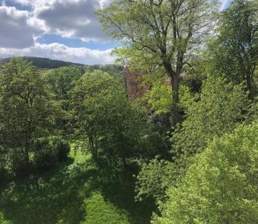 Vogelsang House | Zimmer mit Parkblick