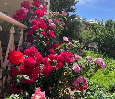 Leh House | Zlatan Guest House