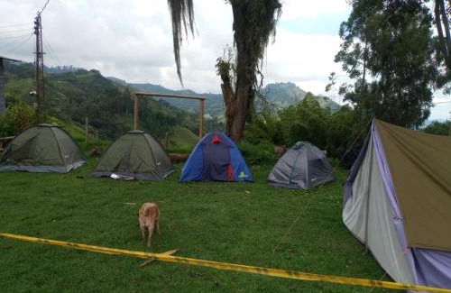 Villamaria Other | Zona de Camping Hostal Las Hamacas