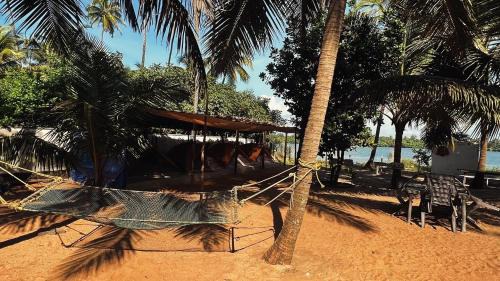 Udupi Other | Zone 51 Malpe - Beach Camping Experience