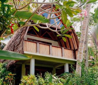 Villa Monyet Java