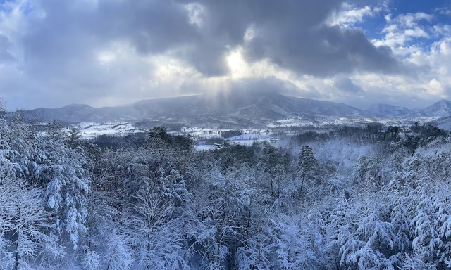Gatlinburg Pigeon Forge, TN