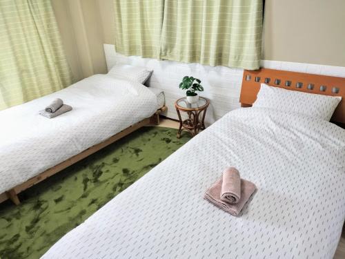 グリーンコーポラス若松501