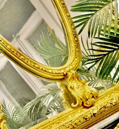03 CAPE TOWN - Tourcoing JUNGLE ROOM