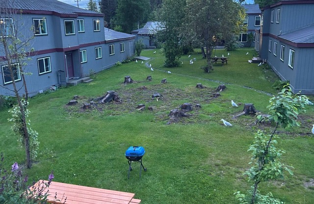 1.5 miles from the mouth of the Kenai River. In the heart of Kenai!