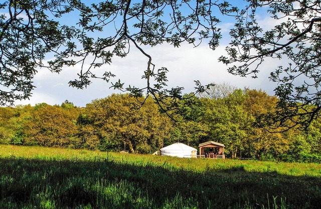 1 bedroom accommodation in Gower