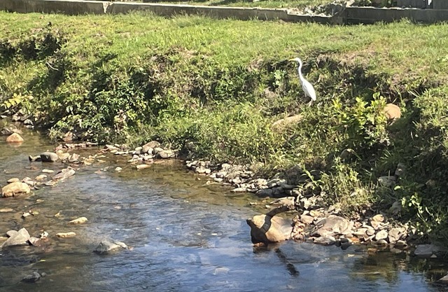 1 block walk to downtown and breweries, and bike right to the trails!