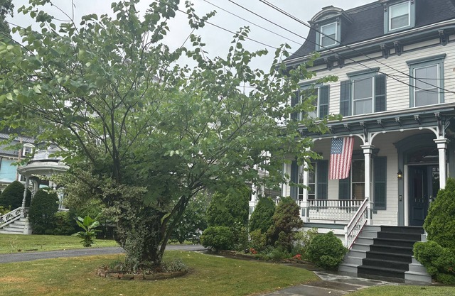 1 Br Private Victorian Apt in convenient City location on half acre sleeps 4
