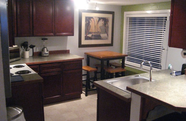 #1 Downtown Executive Suite One Bedroom Apartment