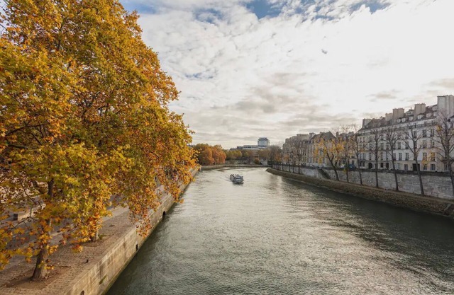 115m² of Authentic French Living Le Marais/Île Saint-Louis and The Seine"