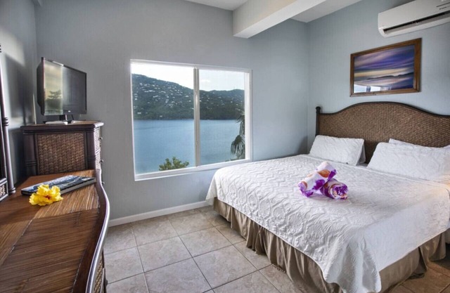 1BR suite with amazing views and only 5 min from Magen's Bay!