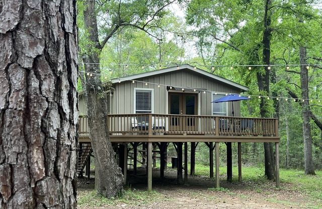 2 BDRM Treehouse Hideaway- Lake Conroe | Boat ramp