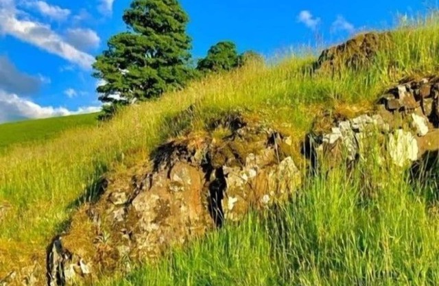 2 bedroom cottage with walking from the door over the Lorton Fells, close to Ennerdale.