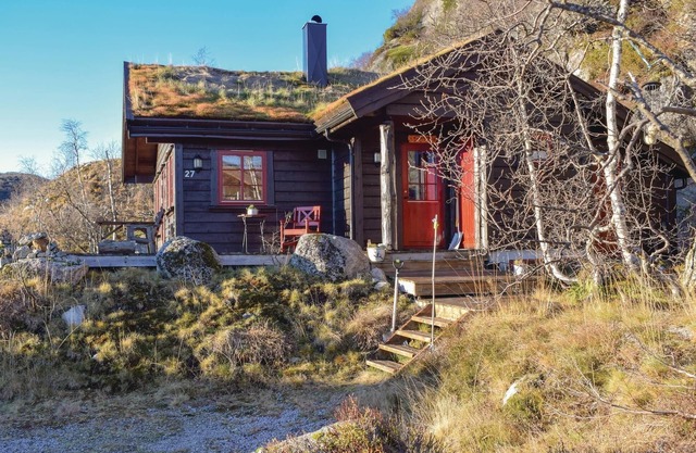 3 bedroom gorgeous home in åseral