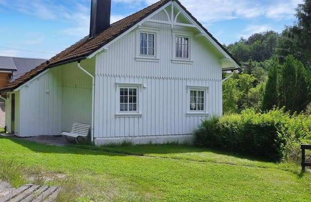 3 bedroom stunning home in Brekkestø