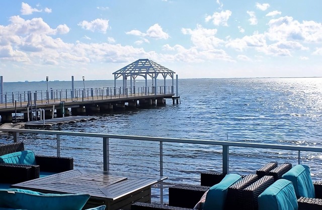 3 Classy Units! Outdoor Pool, Parking, Pets Allowed Near The Florida Aquarium