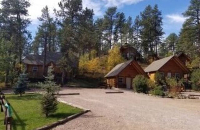 3 Custom Built Log Cabin Bordered by Black Hills National Forest