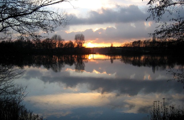 41sqm apartment + Mass + apartment near Forest