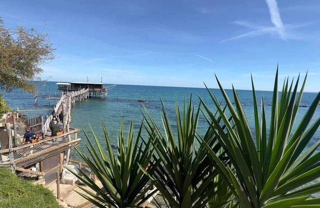 5 minutes from the Costa dei trabocchi near all services, pet friendly