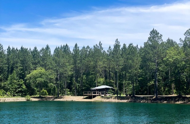 81 Pines-The Cabin