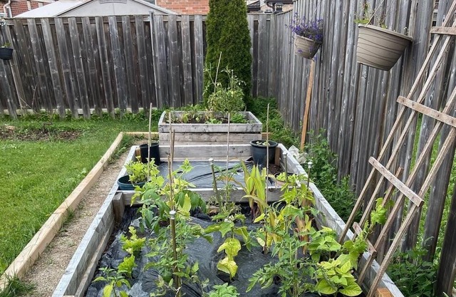 A cozy home in a quiet neighborhood/beautiful nature & shopping malls close by