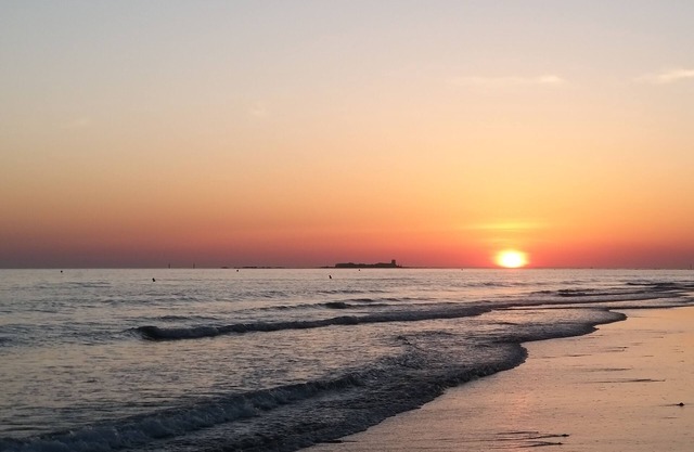 A different vacation surrounded by nature and freedom come and enjoy