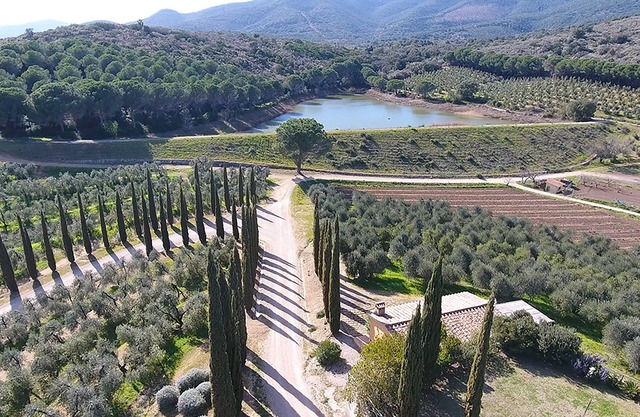 A few kilometers from the sea in Castiglione della Pescaia
