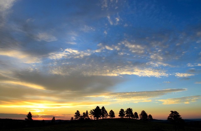 A fully-stocked, 2 bedroom cabin minutes from Rushmore - no cleaning fees