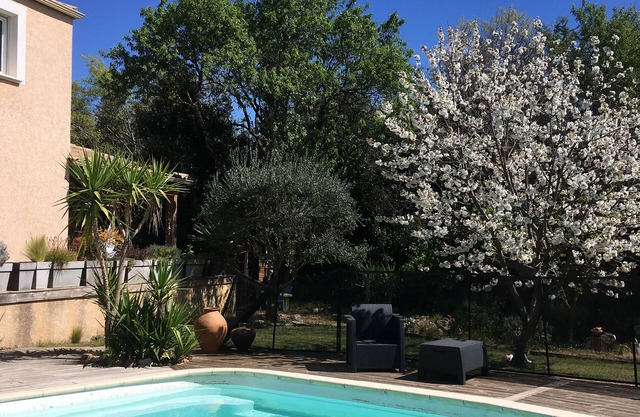 A haven of tranquility and freshness,