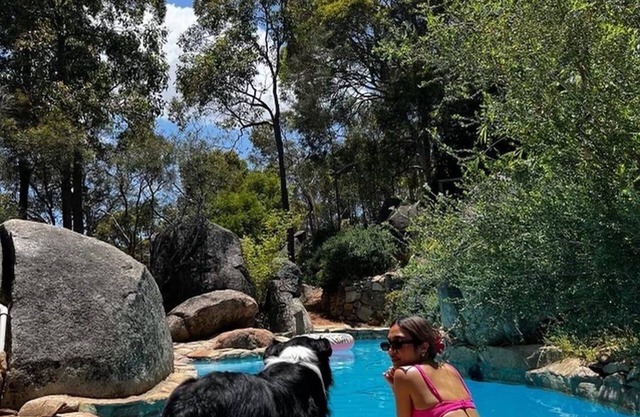 A Paradise for Dogs and a Magical Place for Humans
