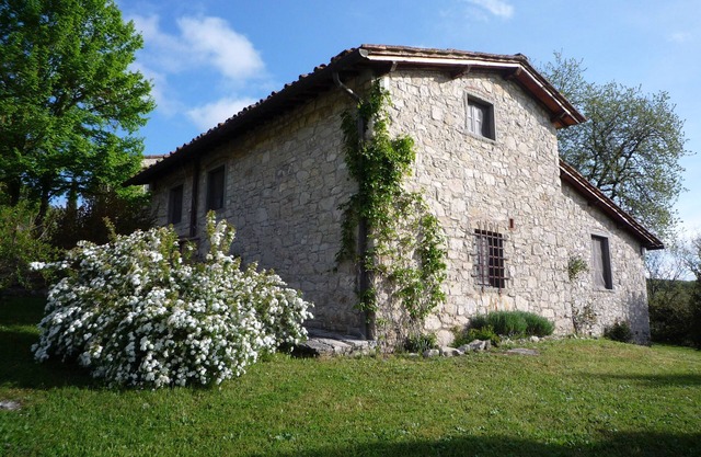 A paradise of cypress and olive trees