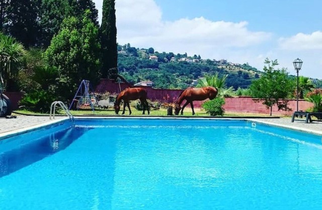 A Sicilian guesthouse with Pool on Mt. Etna, perfect for Families & Groups/x16p.